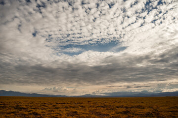 image of the atacama desert
