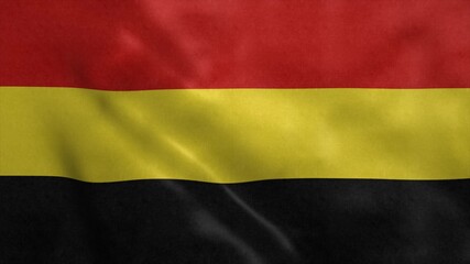 Coamo flag, city of Puerto Rico. 3d illustration