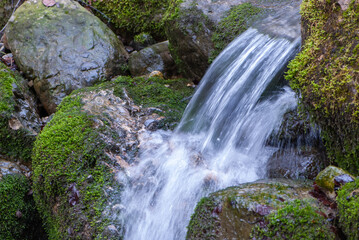 Beautiful mountain cold crystal clear spring in Swiss Alps