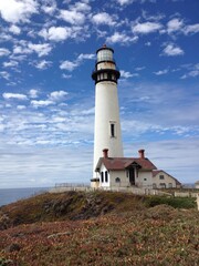 Fototapeta na wymiar Lighthouse in California, Pigeon Point Lighthouse, travel in California, USA