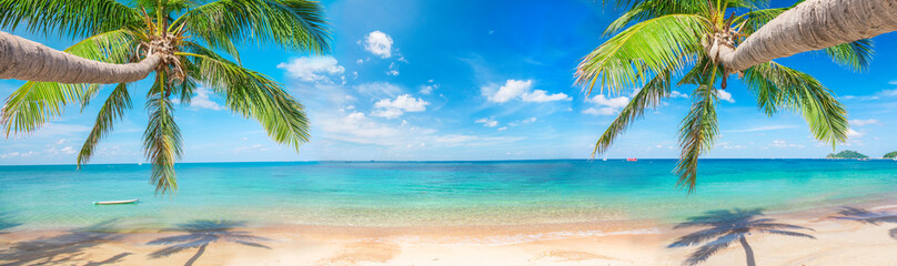 panorama of tropical beach with coconut palm trees - 426757993