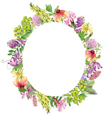 Watercolor oval frame with hand drawn herbs and wildflowers for wedding invitations, birthday cards.