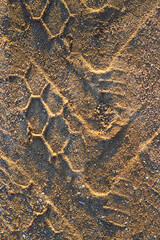 A car footprint in the sand. Texture of the trace from the car on the mud. Tread marks from car and bicycle wheels on a dirt road made of sand. View from above.