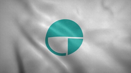 Nagano flag, city of Japan. 3d illustration