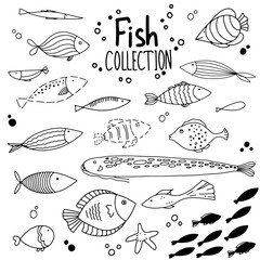 Fish collection doodle set vector hand drawn 