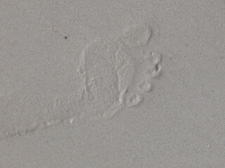 Vue de sable fin avec trace de pied