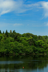 vertical shot across a lake with the blue sky and full-grown green trees
