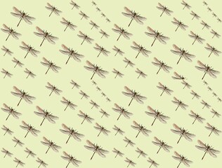 
patrones de insectos y escarabajos para telas y tarjetas
insect and beetle patterns for fabrics and cards