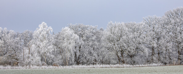 Winter raureif