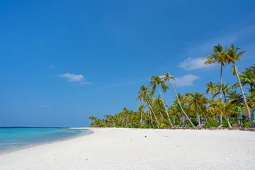 Foto op Aluminium Traumhafter Strand mit vielen Palmen und Sonnenliegen auf einer Insel auf den Malediven, im Hintergrund blauer Himmel © Lars