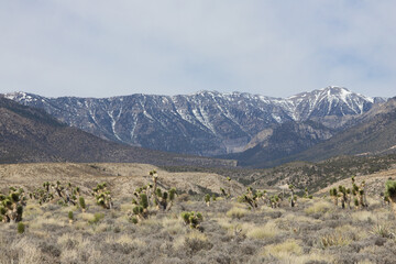 Landscape desert mountain