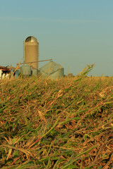 vertical shot of a destroyed barn from a natural disaster