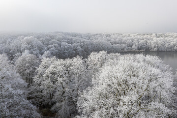 Raufreif & Frost in Bramsche