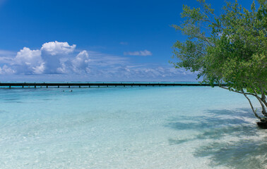 Maldives sunny day on the beach