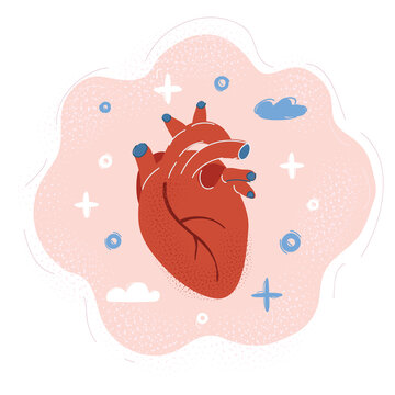 Illustration of Human heart symbol.