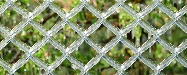 Fototapeta premium Eisschicht nach Frostberegnung der Apfelblüten auf Draht eines Maschendrahtzaunes mit Eisschicht, Frostschutz, Frostschutzberegnung im Frühling in Südtirol, Apfelwiese 