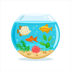 Aquarium with water, fish, algae, shells, bubbles, sand. Marine pets. Vector flat illustration.