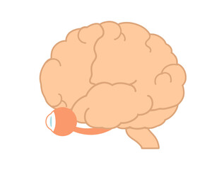 脳　目玉付き　線無し