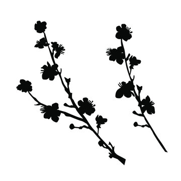 Vector silhouettes of the branch of trees, with leaves, flowers, apple or cherry trees, black color, isolated on white background