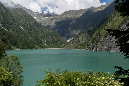 Splendid view of the Lago dei Cavalli, Alpe Cheggio. The teal water, the rich vegetation, the blue sky and the white clouds.