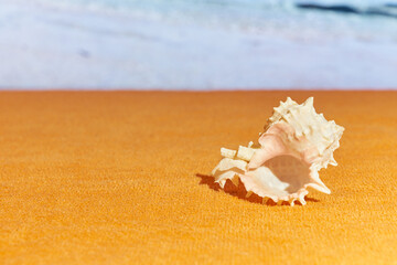 Obraz na płótnie Canvas A shell on towel with blurred sea on the background.