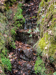 A water streams surrounded by greenery in the park.