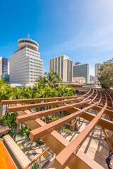 Fototapeta premium Palm trees and building tops in Honolulu, Hawaii, USA. Tropical city vacation background.