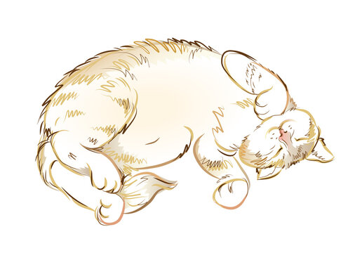 Illustration of satisfied sleeping cat. Digital drawing. Printable sketch of domestic animal. Modern print for fashionable fabric, textile, decoration, embroidery, tattoo. Hand-drawn vector.