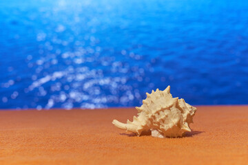 Fototapeta na wymiar A shell on towel with blurred sea on the background.