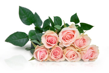 bouquet of pink roses on a white table with reflection, isolate