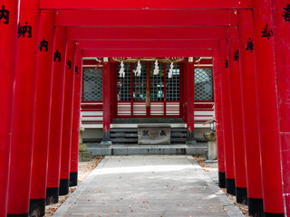 Fototapeta premium Red torii gates of Inari Jinja on the grounds of Bekku Oyamazumi shrine - Imabari, Japan