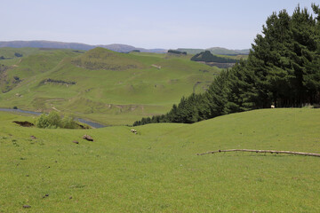 Rangitikei River / Rangitikei River /
