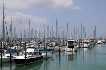 Fototapeta premium Auckland Neuseeland / Auckland New Zealand /