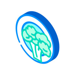 vegetarian diet isometric icon vector. vegetarian diet sign. isolated symbol illustration
