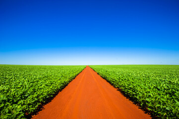 country road. beautiful rural landscape


