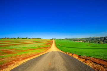 Fototapeta na wymiar country road. beautiful rural landscape