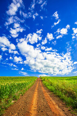 country road. beautiful rural landscape

