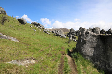 Fototapeta na wymiar Neuseeland - Castle Hill Rocks / New Zealand Castle Hill Rocks