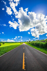 Fototapeta premium country road. beautiful rural landscape