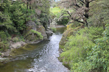 Mangles River / Mangles River /