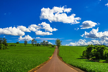 country road. beautiful rural landscape

