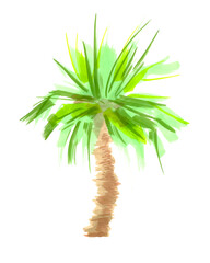 Fototapeta na wymiar Silhouette hand green drawn palm tree. Brush Marker clip art. Isolated palms Illustration for design on a white background.