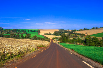 country road. beautiful rural landscape

