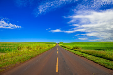 country road. beautiful rural landscape

