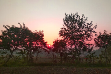 Fototapeta na wymiar Reddish sunrise lurking among the trees