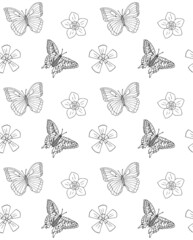 Vector seamless pattern of hand drawn doodle sketch butter fly and flowers isolated on white background