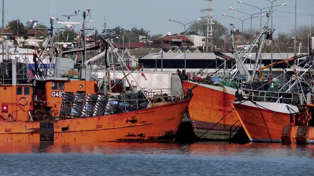 Traditional Fishing Boats Docked at the Port of Mar del Plata, Buenos Aires Province, Argentina. 4K Resolution.
