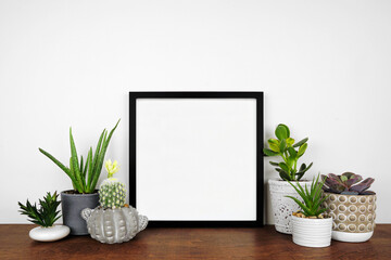 Mock up black square frame with a variety of houseplants. Wood shelf against a white wall. Copy space.