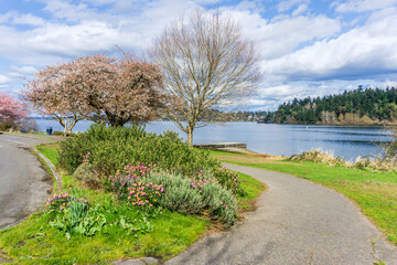 Spring Along Washington Lake 5