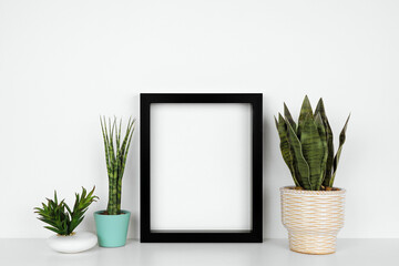 Mock up black frame with houseplants on a shelf. White shelf against a white wall. Copy space.